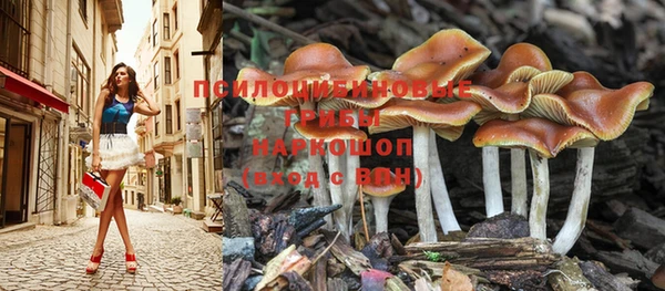 метадон Михайловка