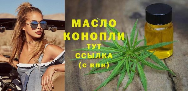 тгк Михайлов